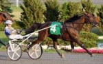 Buck I St Pat wins Armbro Flight elim