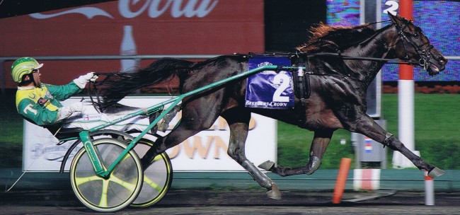 Buck I St Pat wins Breeders Crown